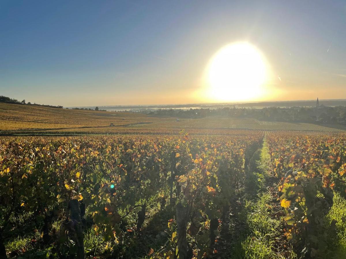 Le Clos De Miribel Givry  Екстер'єр фото