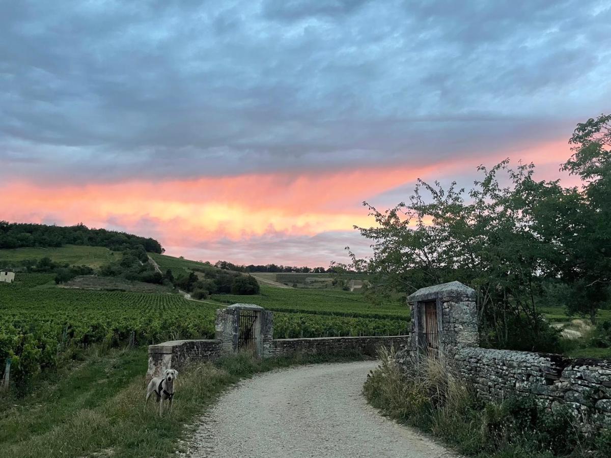 Le Clos De Miribel Givry  Екстер'єр фото